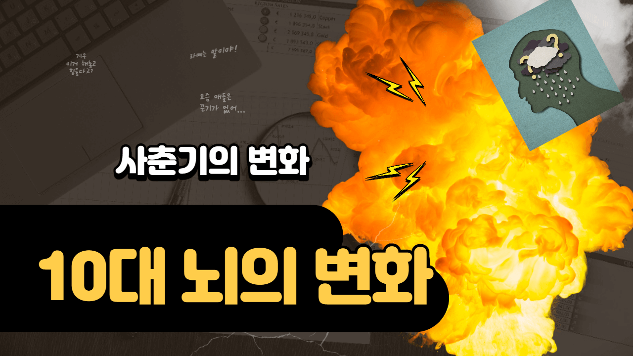 10대의뇌