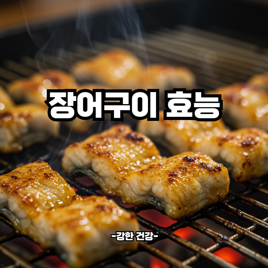 장어구이 효능