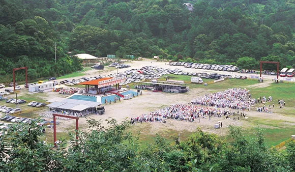 천진암 흰민들레 백양자연관찰로 괭이눈 개화_8