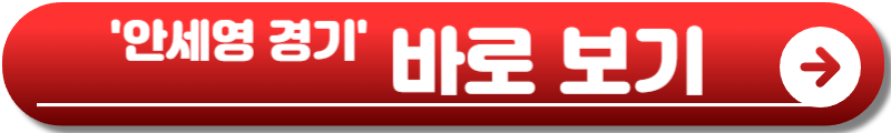안세영 배드민턴