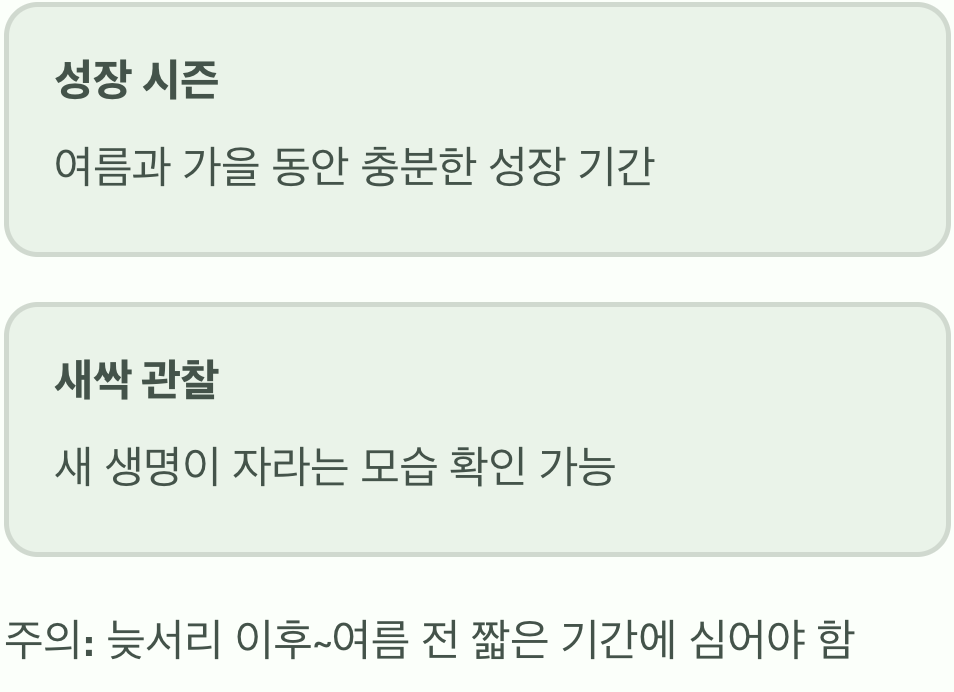 봄 식재, 새로운 시작의 기쁨