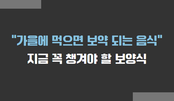 가을에 먹으로 보약 되는 음식 추천
