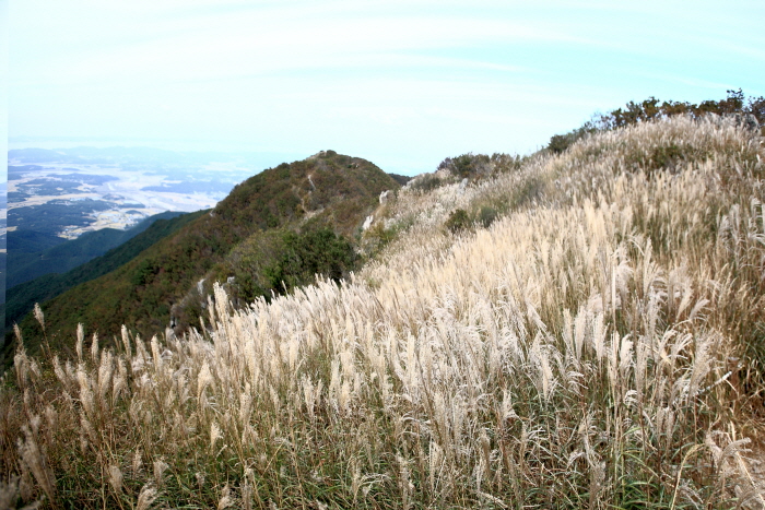 홍성 가볼만한곳 베스트10