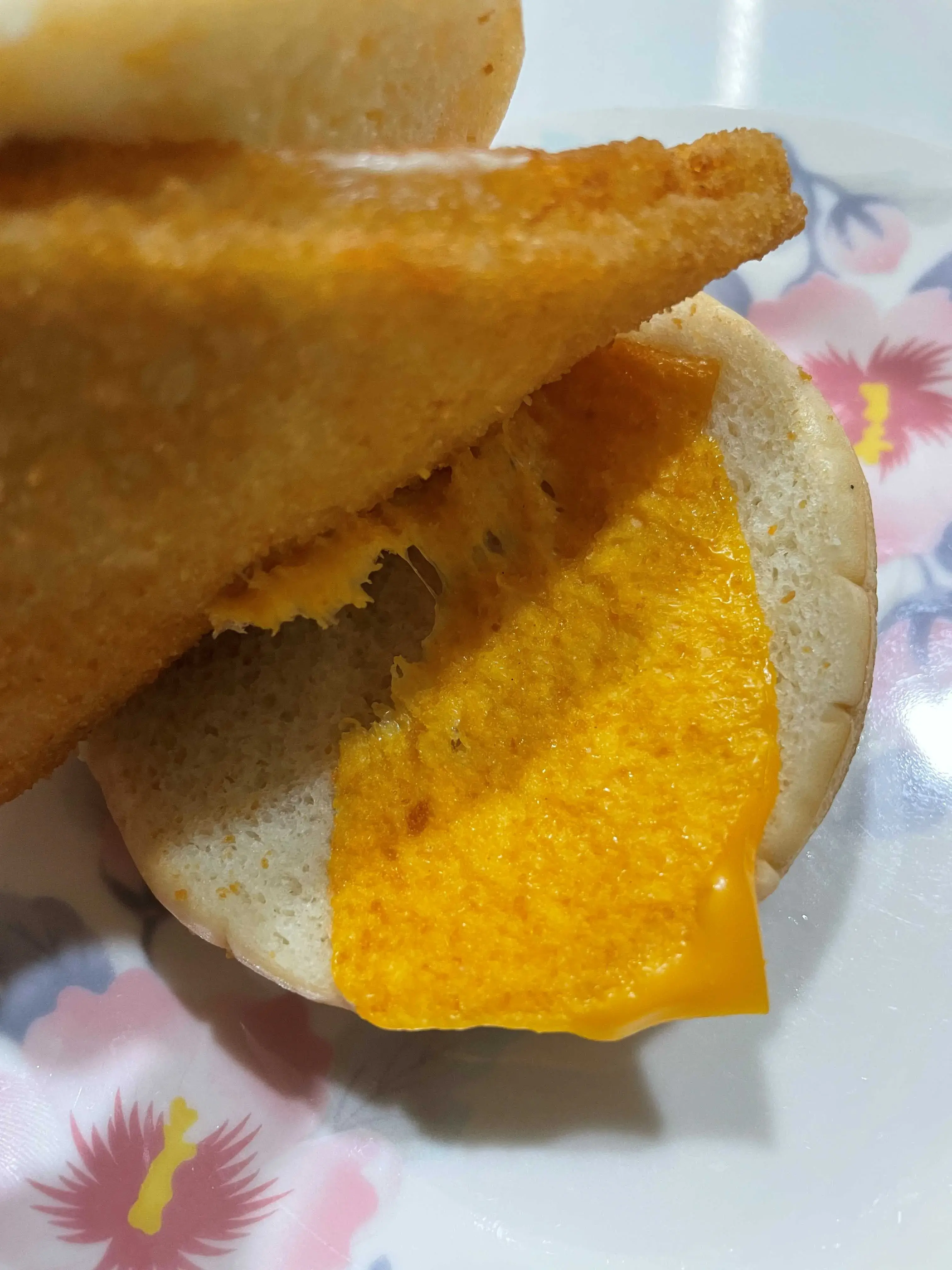 필레오피쉬-소스