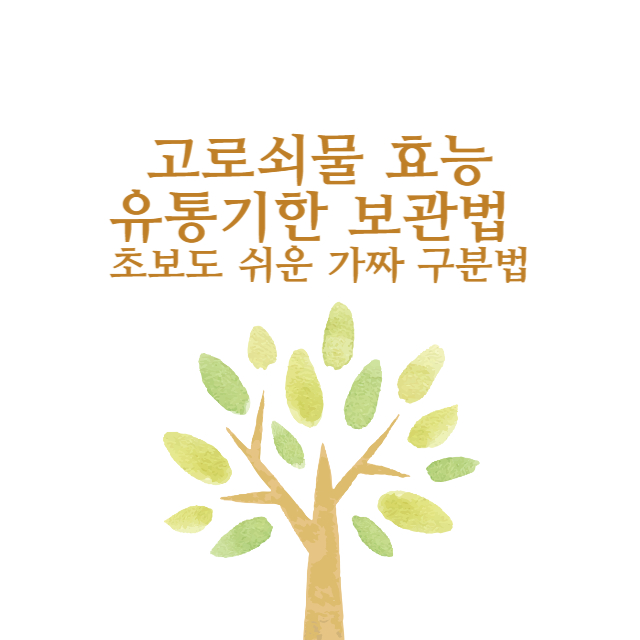 고로쇠물 효능