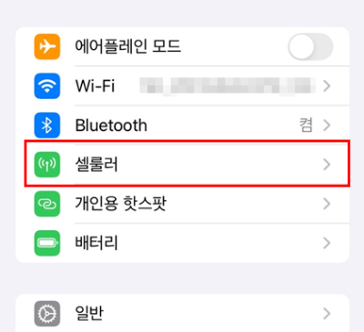 아이폰 SIM PIN 설정- 셀룰러 선택