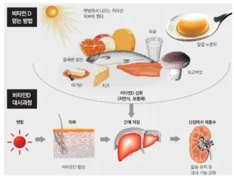 비타민D 부족증상_26