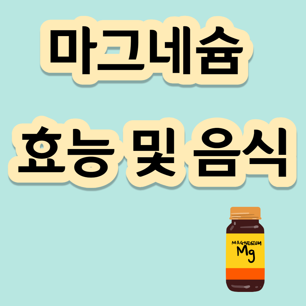 건강을 위한 마그네슘 효능 및 음식 5가지