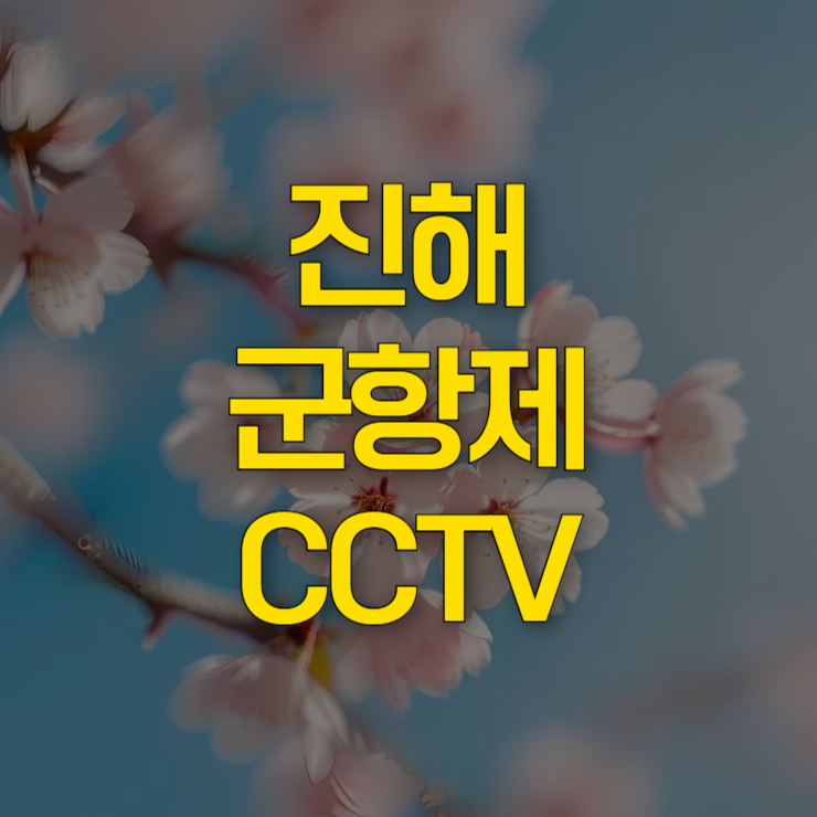 진해-군항제-cctv-대표-사진