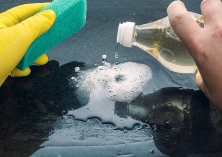 식초 효능, 복용법, 활용법 총정리 (2024ver)