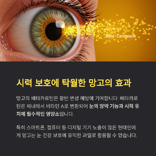 망고, 달콤함 속에 숨겨진 건강의 이점과 주의사항