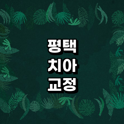 평택시 교정 치과