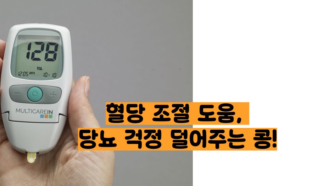 병아리콩 효능 부작용
