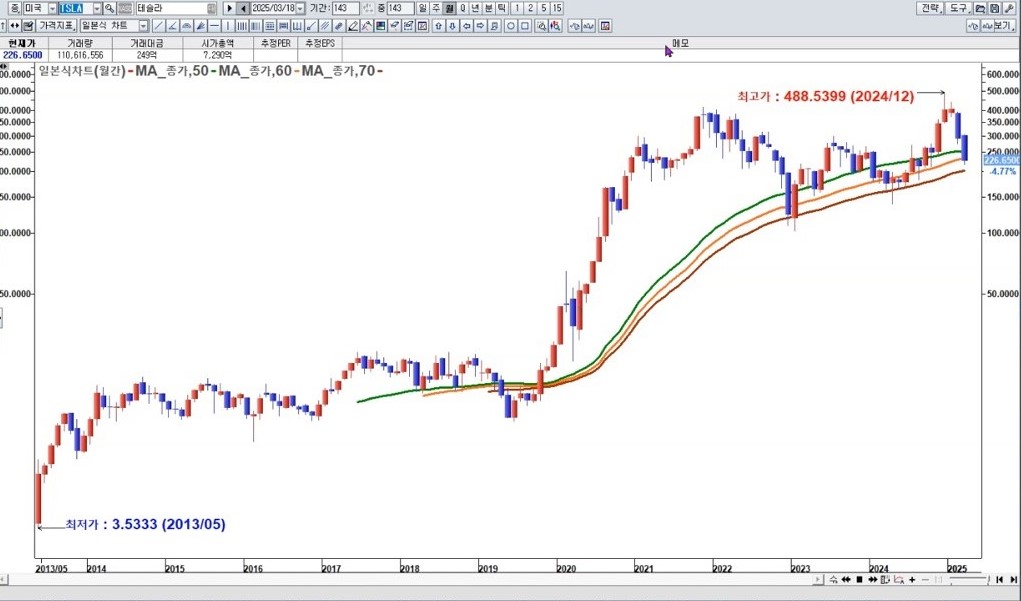 미국 테슬라 월봉 차트