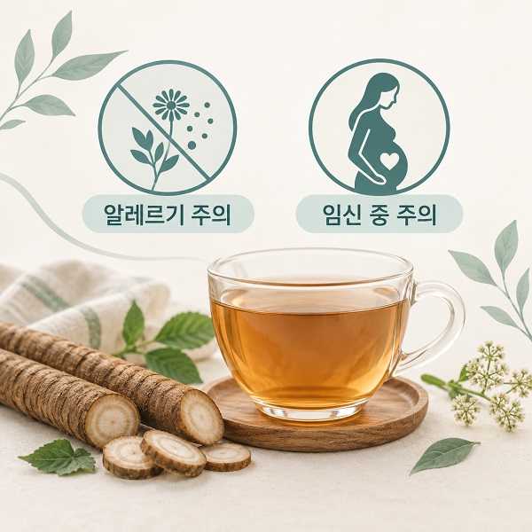 우엉차를 마실 때 확인할 알레르기와 임신 중 주의를 간단하게 표시한 인포그래픽