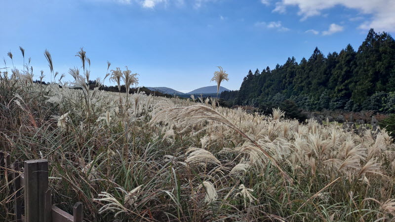 제주여행_산굼부리