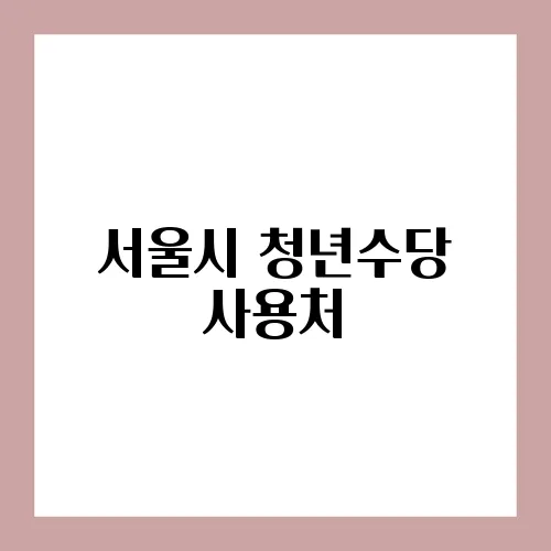서울시 청년수당 사용처