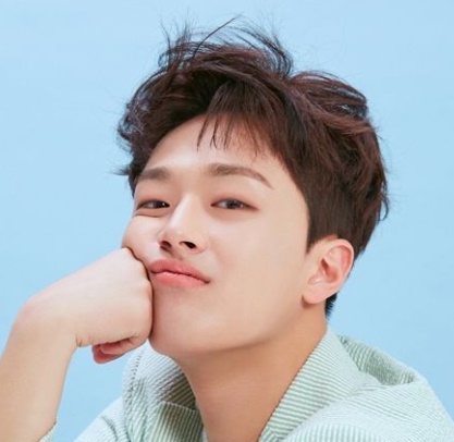 최애돌 셀럽 - 임영웅 영탁 이찬원 김선호 송가인