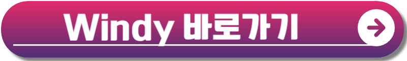 태풍 버빙카