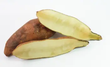야콘 효능 및 영양성분&amp;#44; 먹는 방법