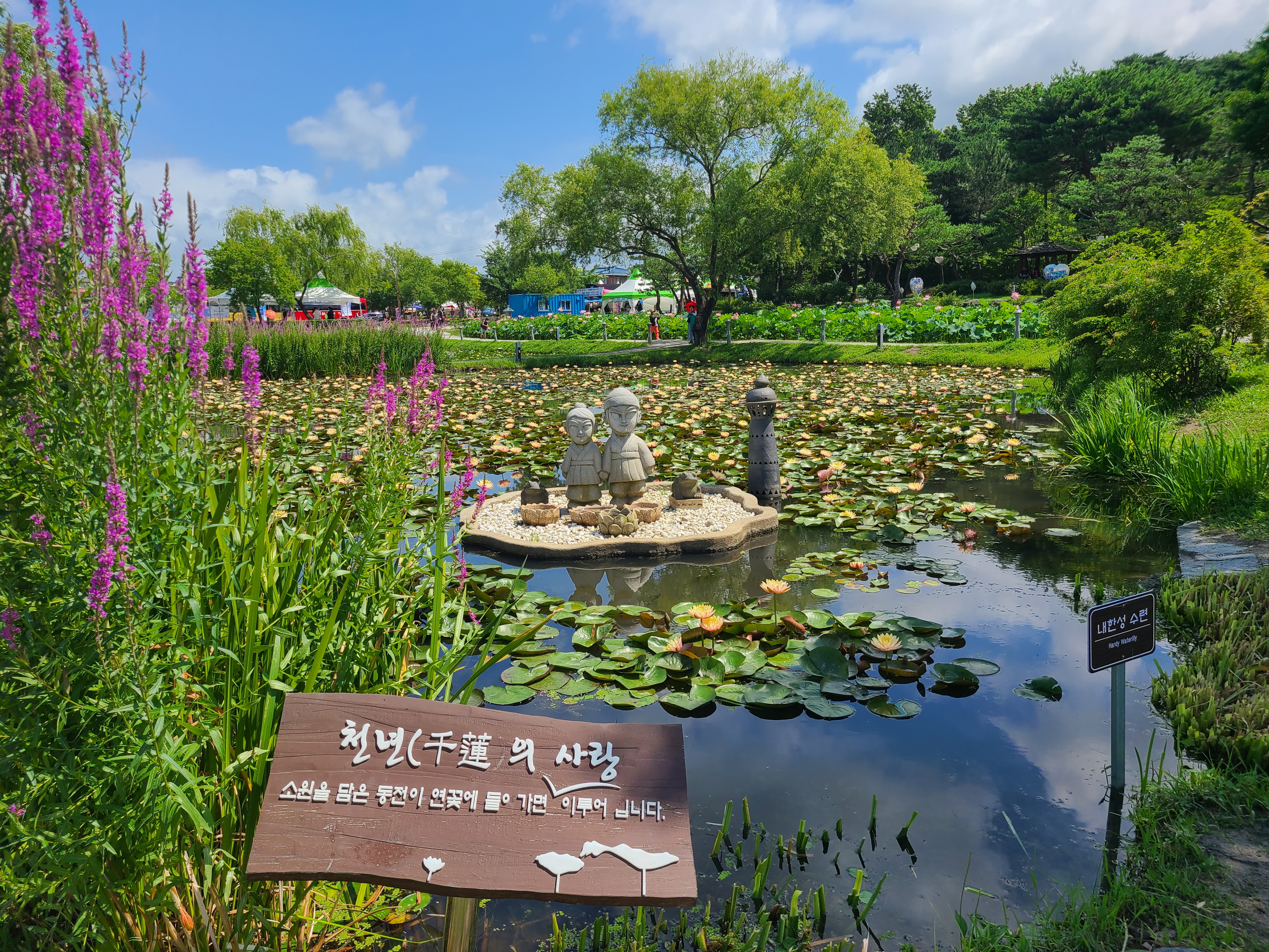 부여서동 연꽃 축제