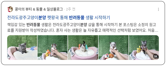 반려동물 분양_2_subsection