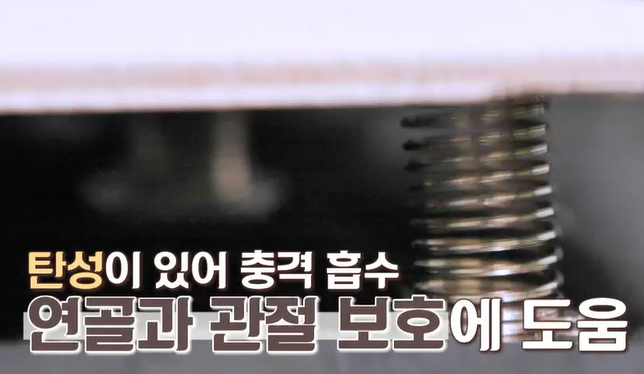 프로테오글리칸