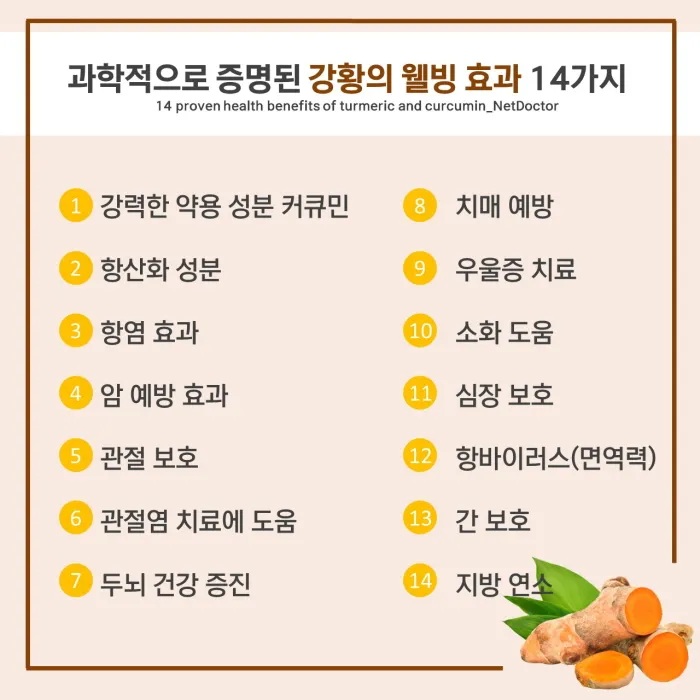 강황가루 효능 건강효과 및 활용방법 정리_8
