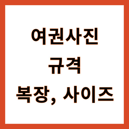 여권사진 규격