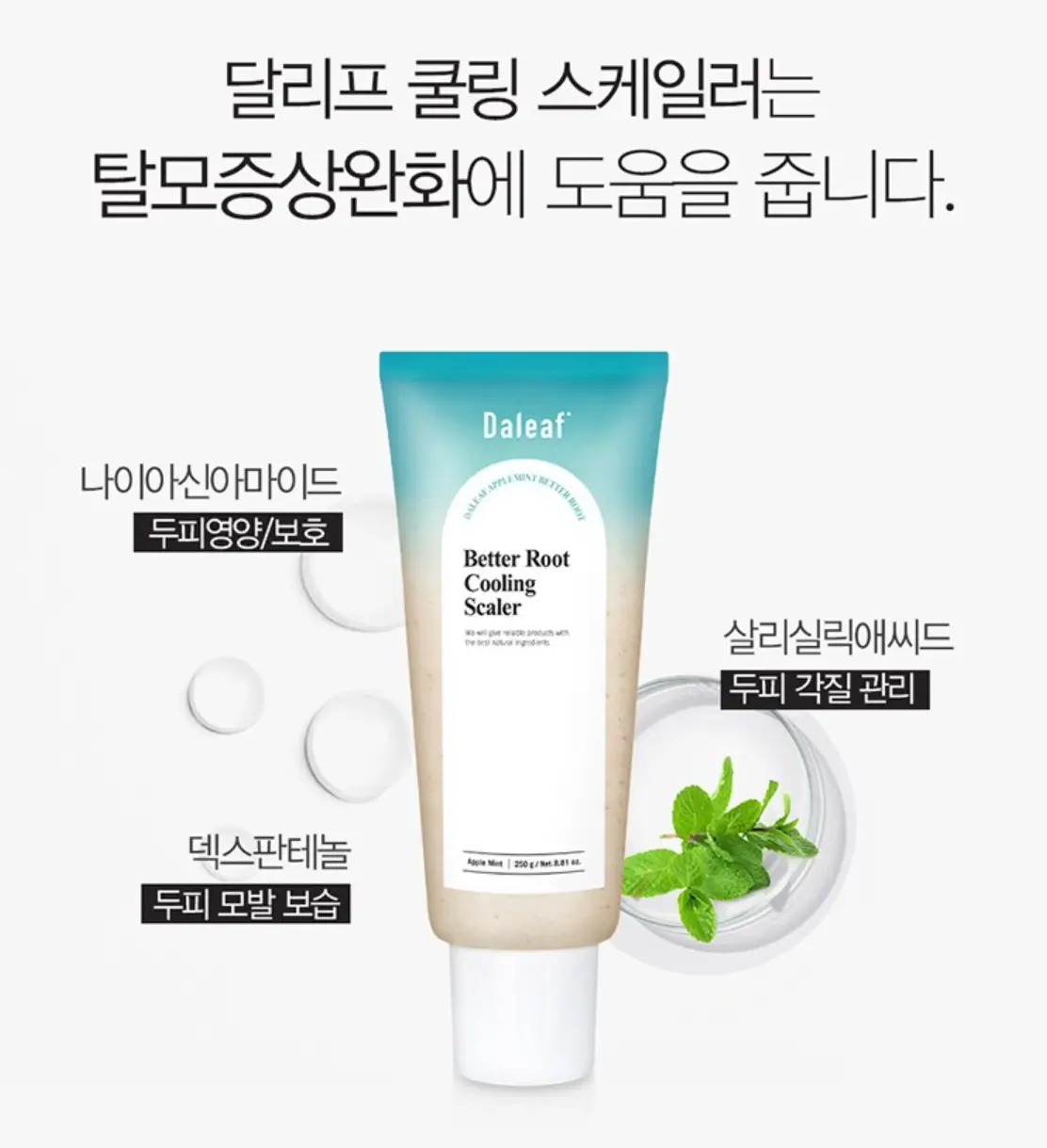 사진4