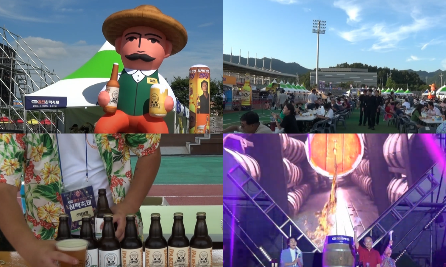 강진 하맥 축제