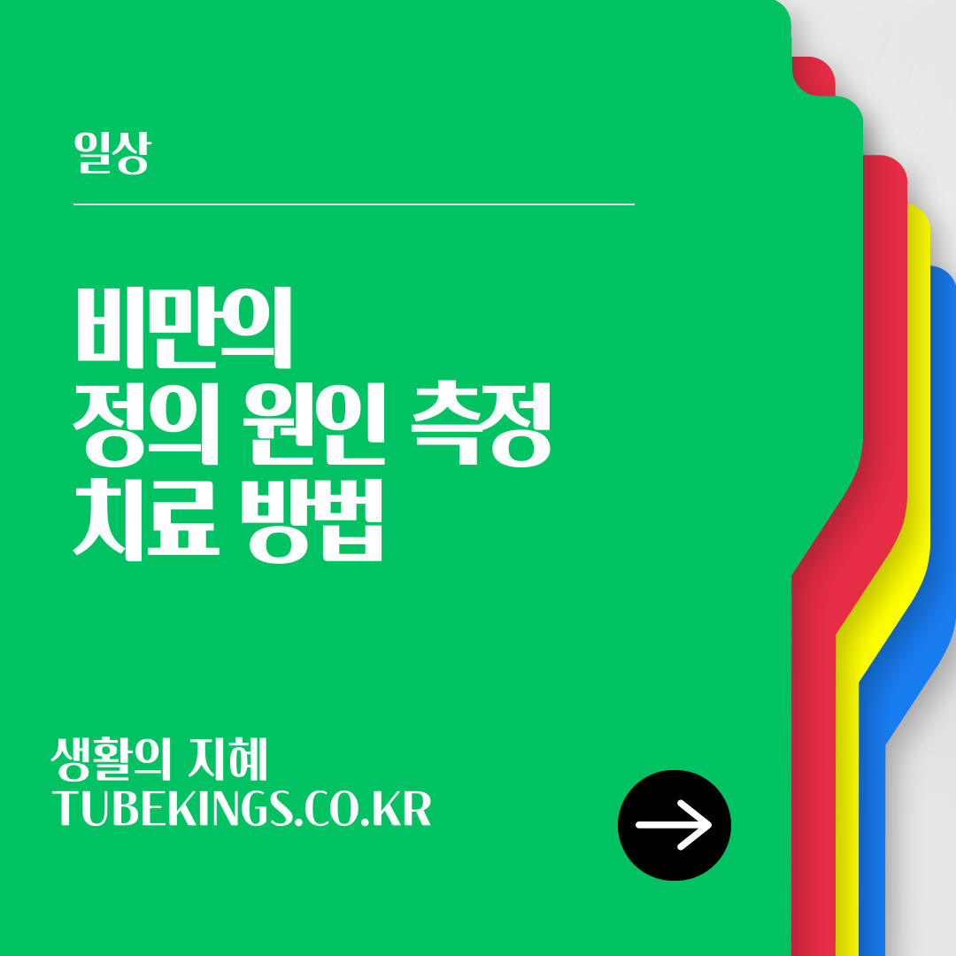비만: 원인, 측정 방법, 치료 방법
