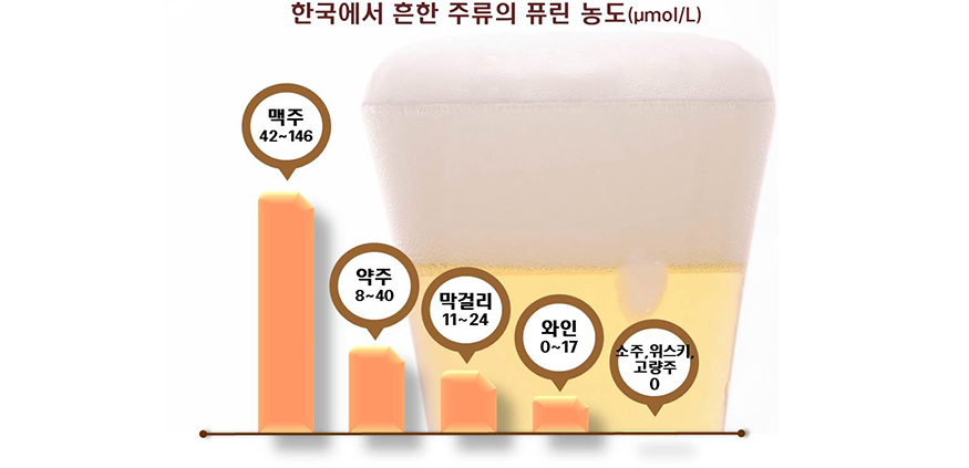 맥주의 퓨린 함량