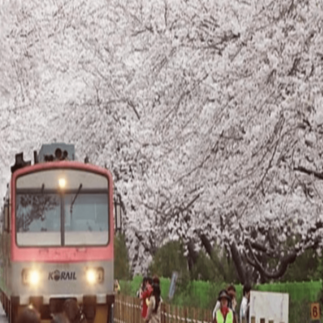 https://www.yeogi.com/content/dom-ko-jinhae-pension-bx2-2025-jinhae-gunhangje?srsltid=AfmBOopZZ_PE-xJxEoesEB6lyUMqcsXI3T7Z_iLMV4IxYrdmJ-32FVNU