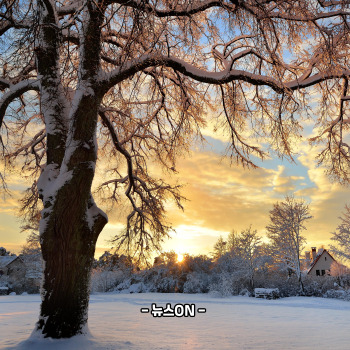 1월에 가볼만한 국내 여행지 