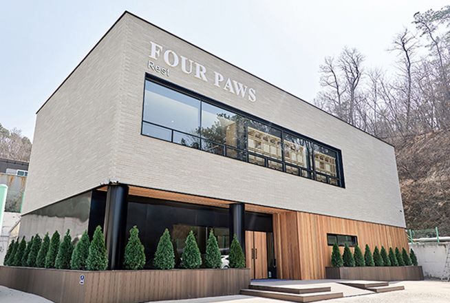 포포즈 반려동물 장례식장