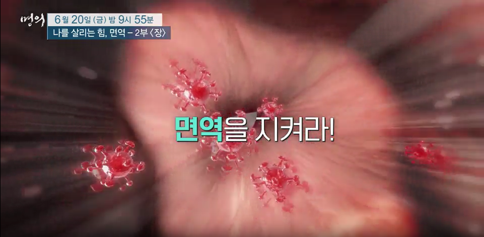 명의 - 면역력 특집 나를 살리는 힘, 면역 - 2부, 장