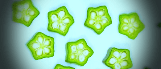 슬라이스한-오크라