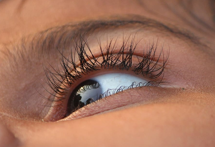 루테인 지아잔틴 효능과 섭취방법