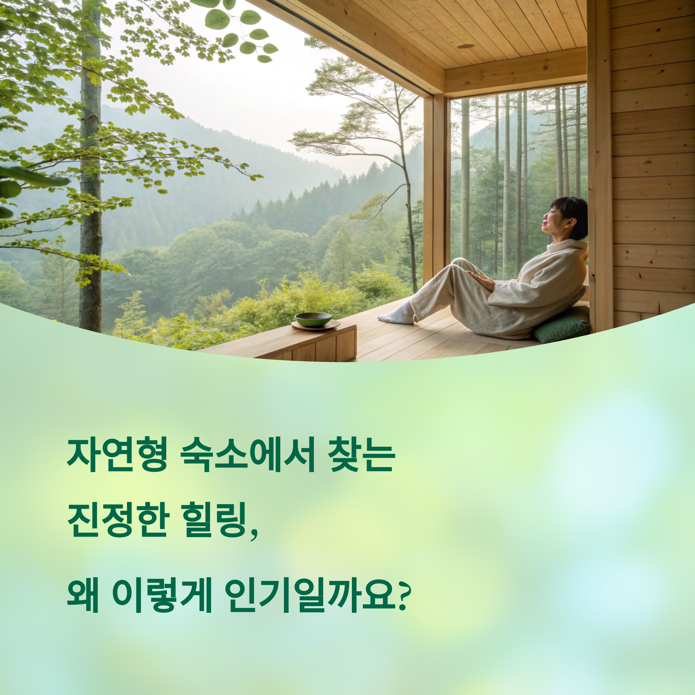 자연형 숙소의 특별한 매력, 왜 사람들이 찾는 걸까?