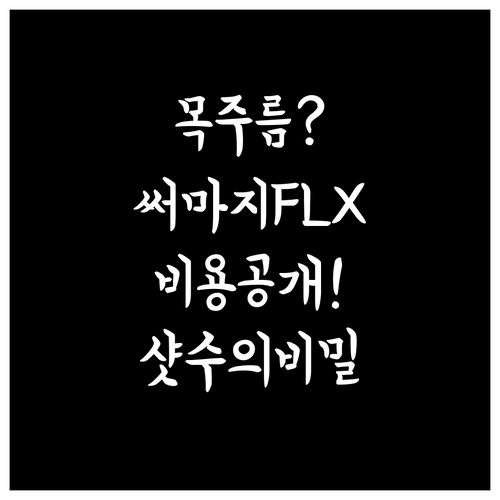 목주름 써마지 FLX 비용 정보와 샷..