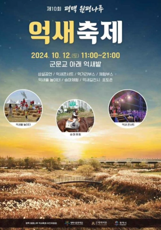억새축제1