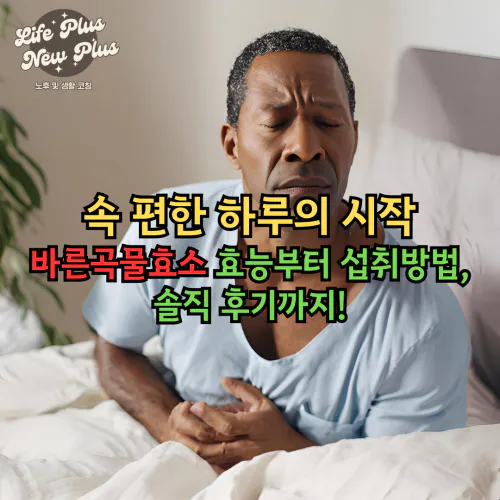 바른곡물효소 효능 알아보기