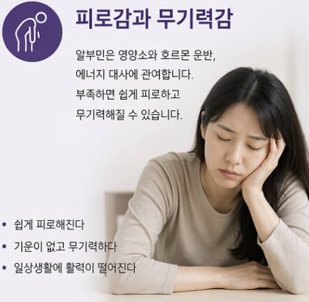 알부민 부족증상