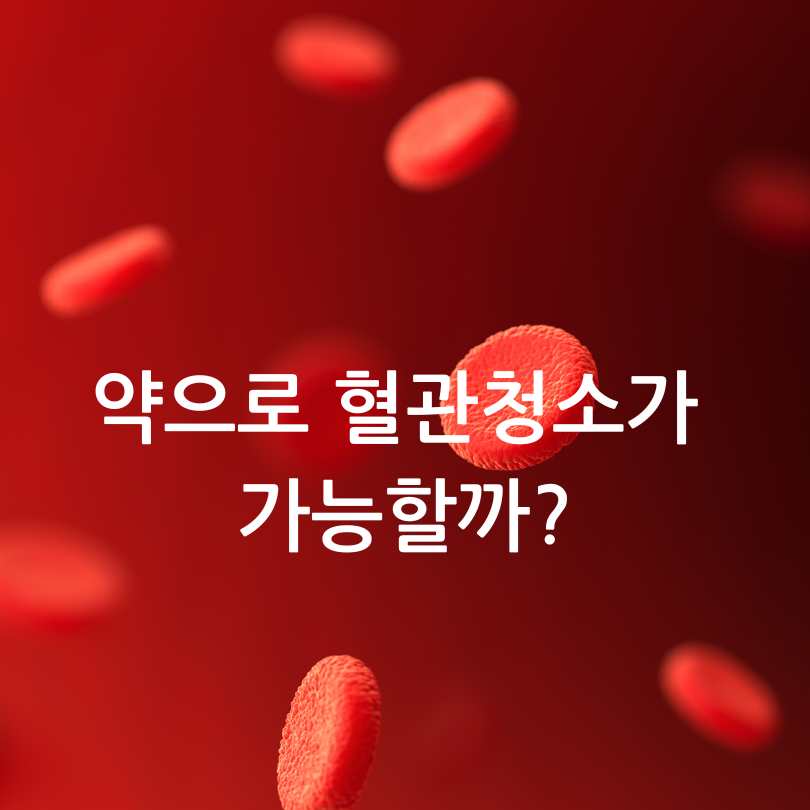 혈관청소하는 주사 : 킬레이션주사 가격과 효과