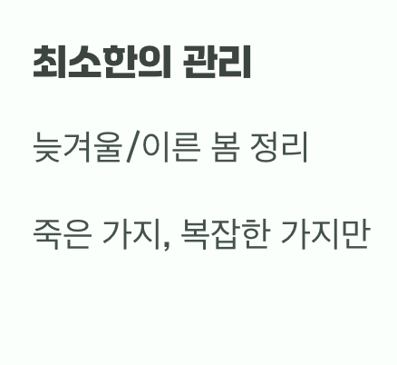 비결 3. 그대로의 멋, '자연스러운 수형'