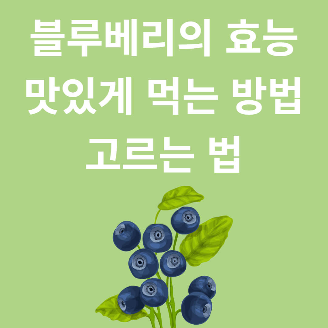 상큼한 과일 블루베리의 효능 맛있게 먹는 법과 선택법