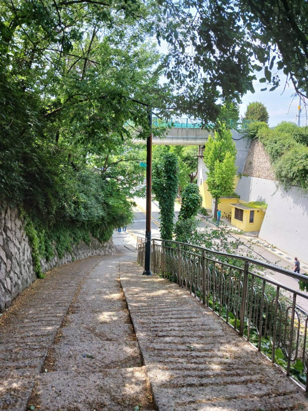 도로로 내려가는 길