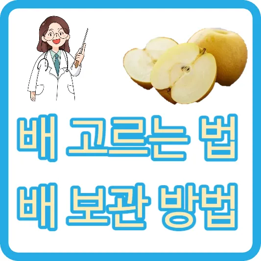 배 고르는 법 배 보관 방법