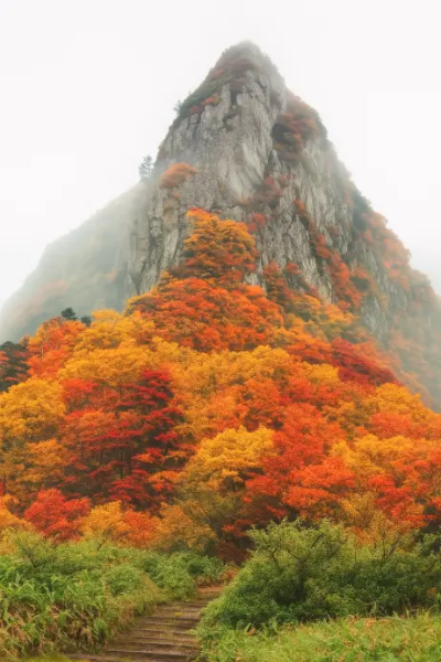 한라산-단풍